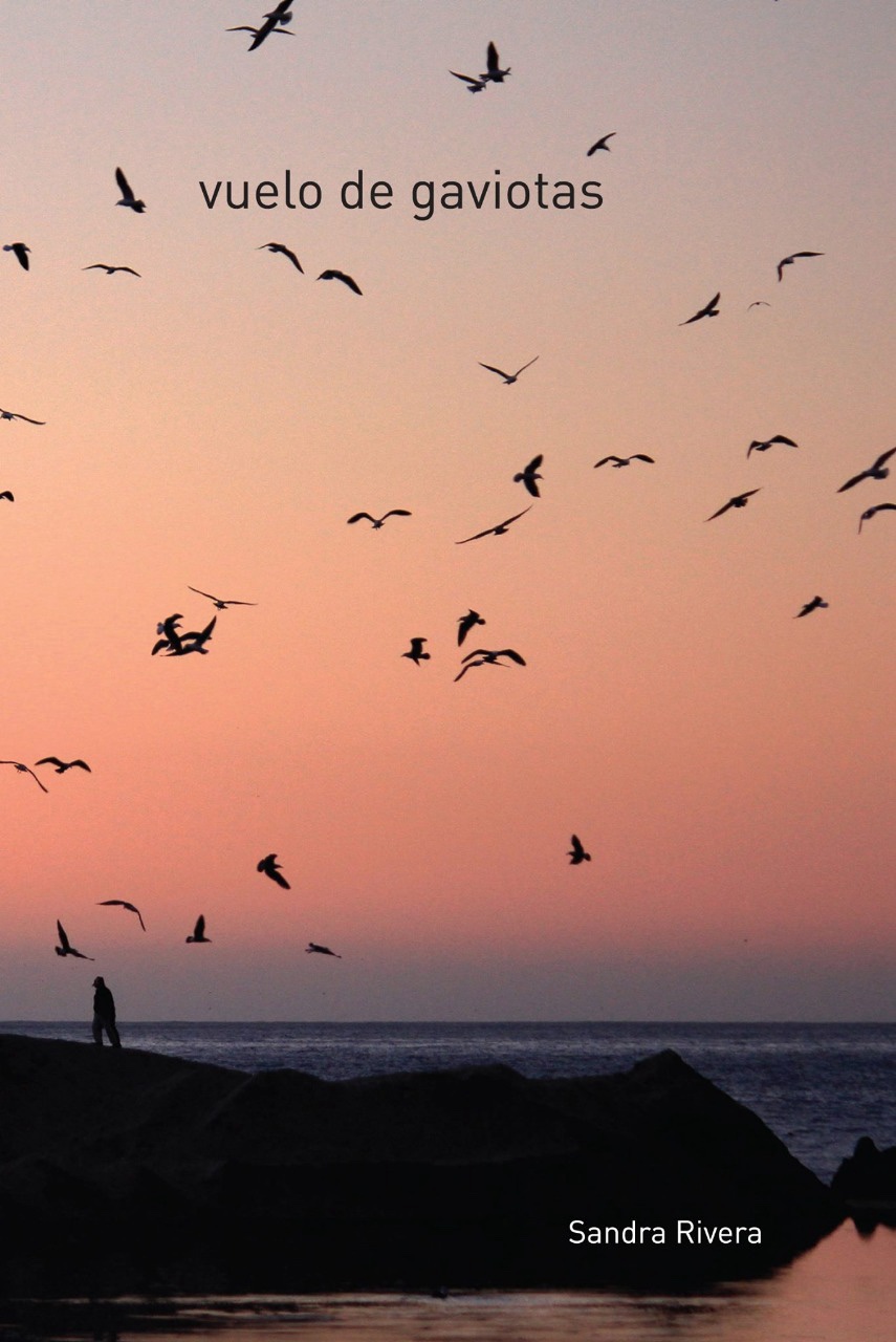 Portada original de Vuelo de gaviotas, de Sandra Rivera